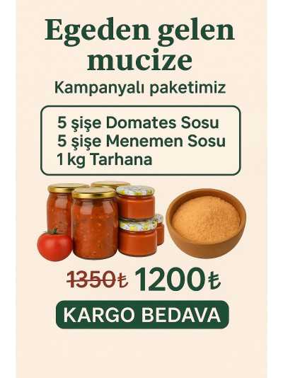 KAMPANYA 2