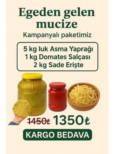 KAMPANYA 3